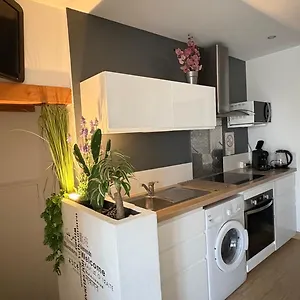 Goeland 1,climatise, Wifi Et Sa Terrasse A 150 M De La Appartement
